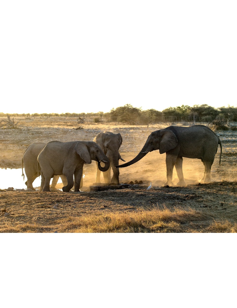 LUMIERES D'AFRIQUE DU SUD