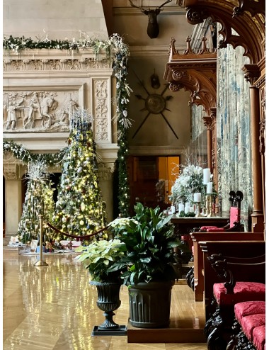 MAGIE DE NOEL DANS LES CHATEAUX
