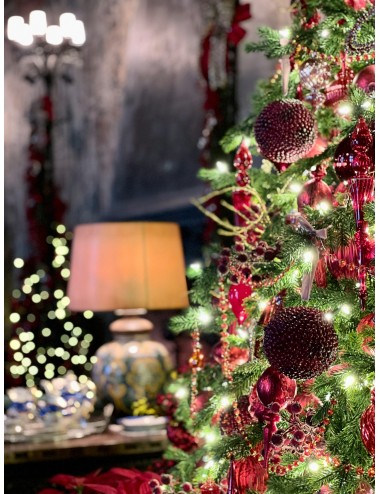 MAGIE DE NOEL DANS LES CHATEAUX