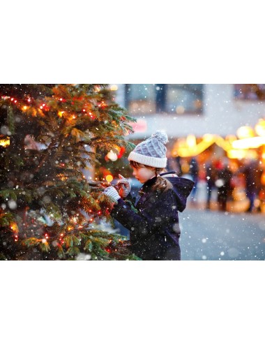 EGUISHEIM ET KAYSERSBERG : MARCHÉS DE NOËL