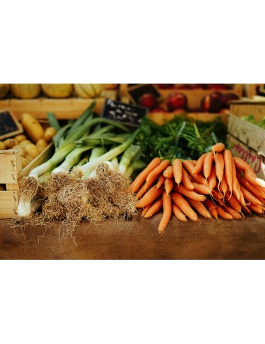 VISITE DU MARCHÉ DE RUNGIS