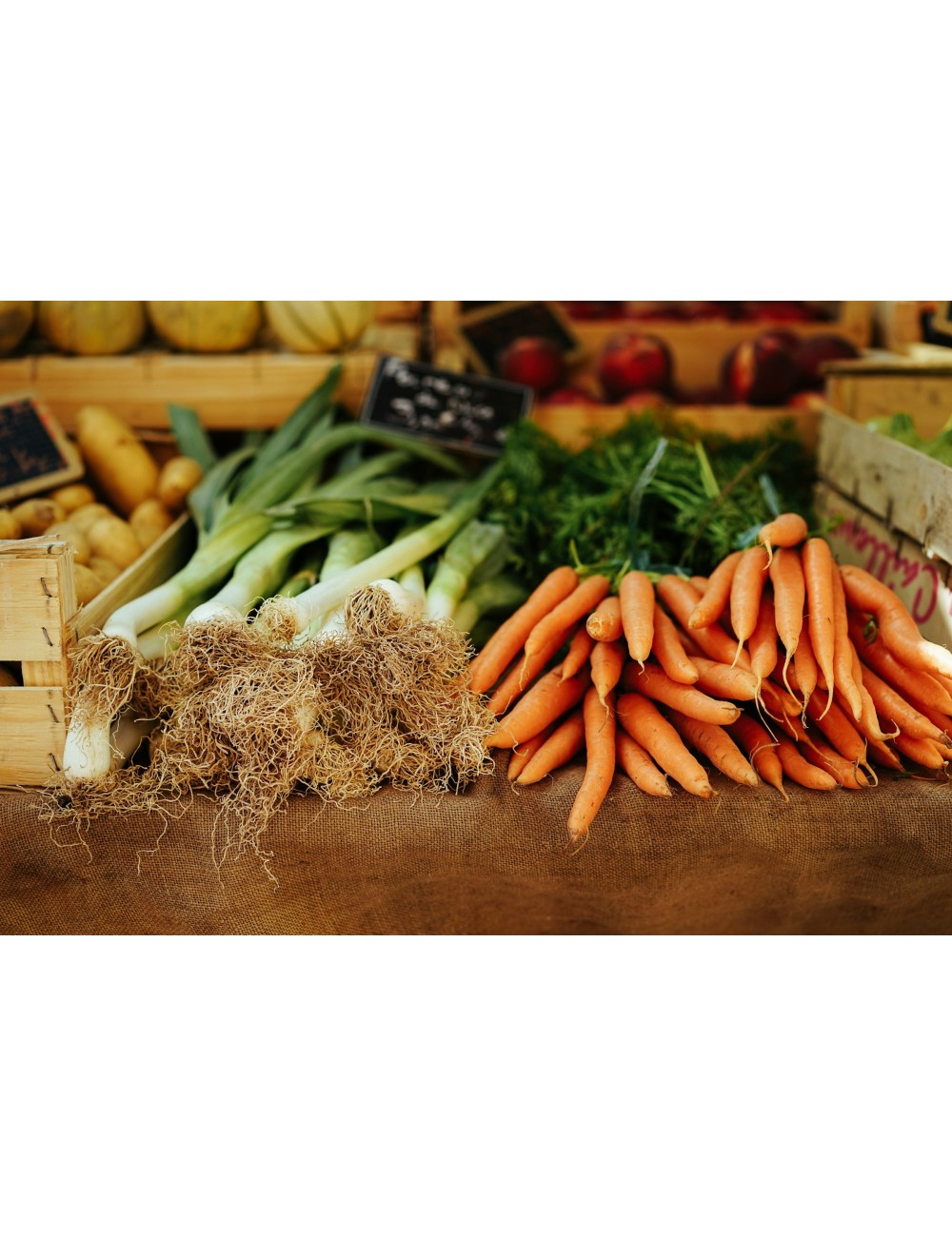 VISITE DU MARCHÉ DE RUNGIS