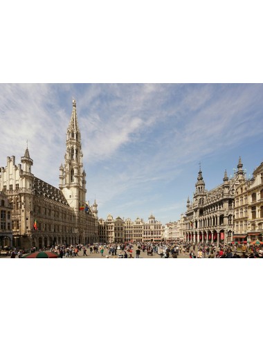 FLORALIA BRUSSELS ET JOYAUX FLAMANDS