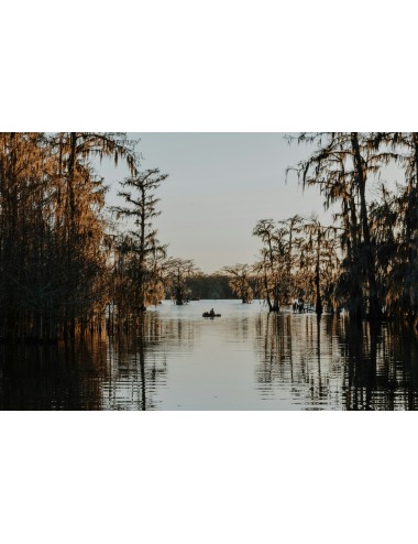 ETATS UNIS : BALADE EN LOUISIANE