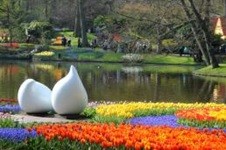 LA HOLLANDE EN FLEURS