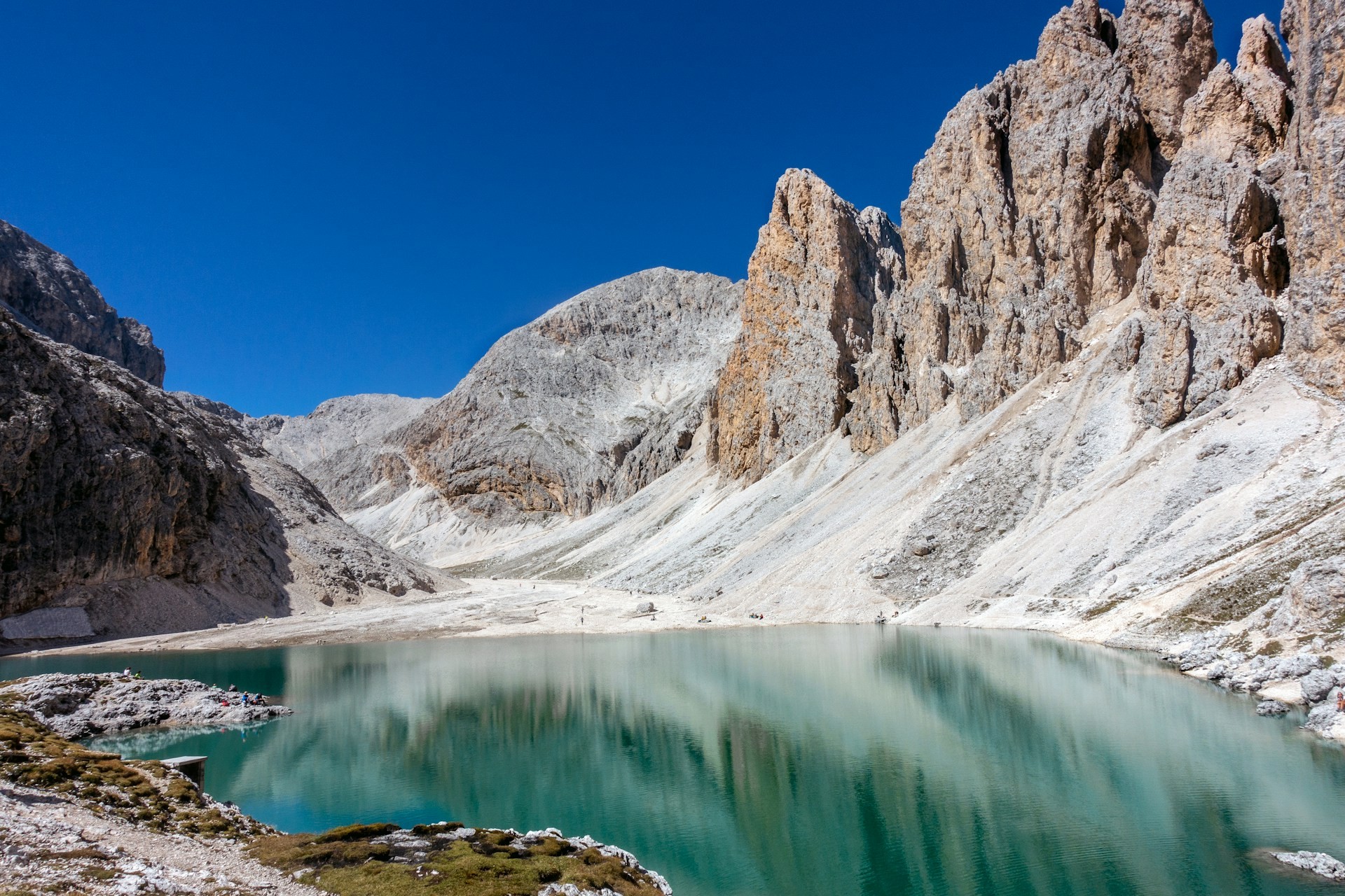 TYROL - TRANSHUMANCE ET...