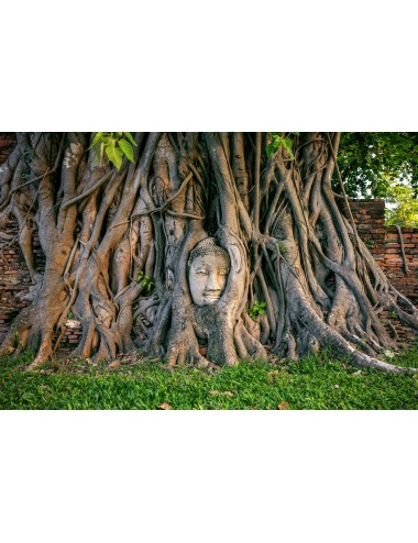 CIRCUIT THAILANDE - BLANEAIRE KOH SAMED