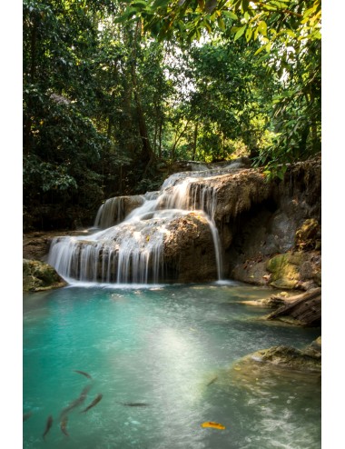 CIRCUIT THAILANDE - BLANEAIRE KOH SAMED