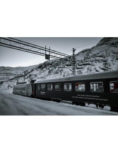NORVEGE : PANORAMAS D'HIVER EN TRAIN