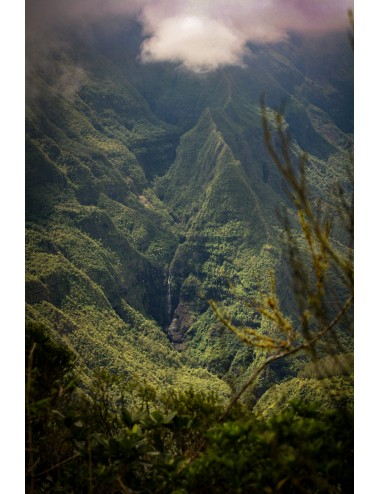 LA REUNION - BALADE CREOLE - 9 JOURS